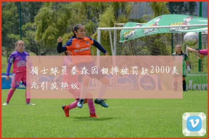 骑士球员泰森因假摔被罚款2000美元引发热议